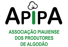 Logo APIPA - Associação Piauiense dos Produtores de Algodão